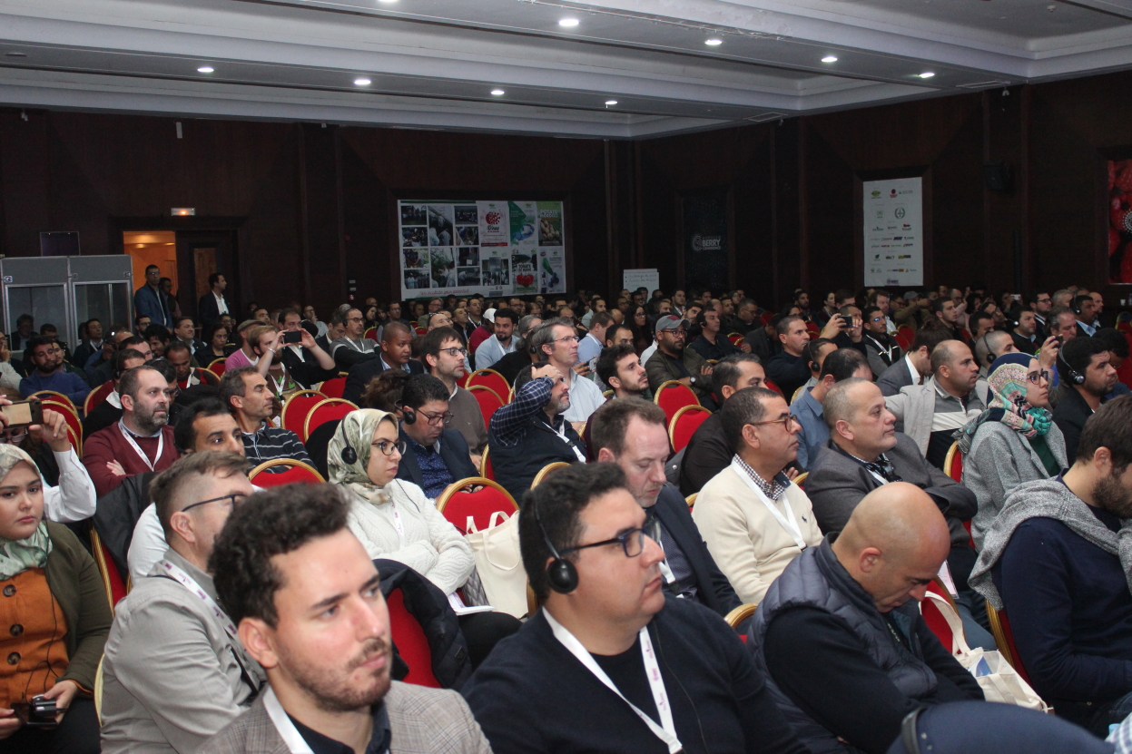 Morocco Berry Conference 2026 : la filière des fruits rouges face au défi de la main-d’œuvre