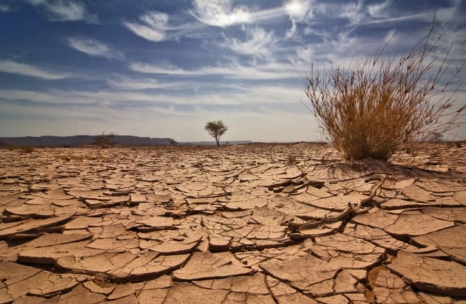 COP22: Adaptation, Agriculture, Afrique