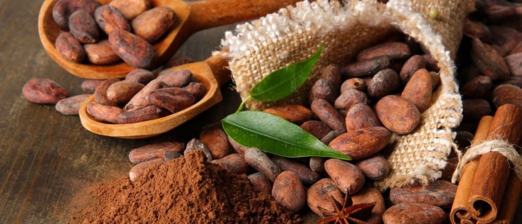 Cacao : l&rsquo;Afrique de l&rsquo;Ouest veut adopter une position commune