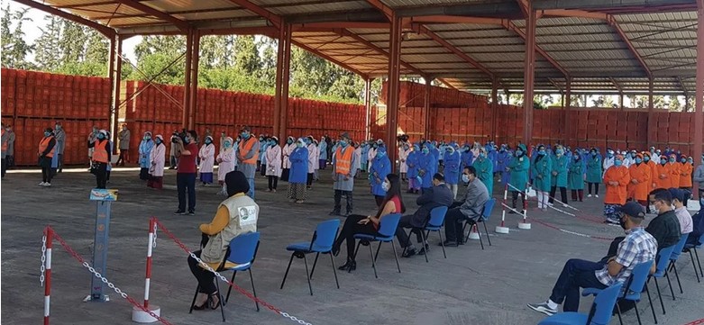 Agrumiculture : 450 exploitations ciblées par la vaste campagne anti-Covid