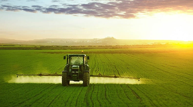 Région Casablanca-Settat: Une bonne campagne agricole