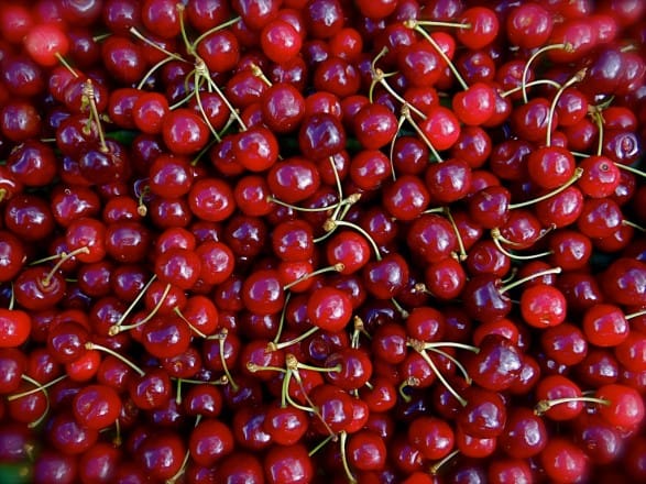 Marché mondial : les cerises