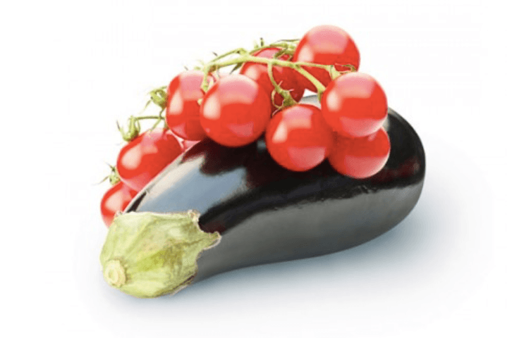La Turquie cultive des tomates au Soudan