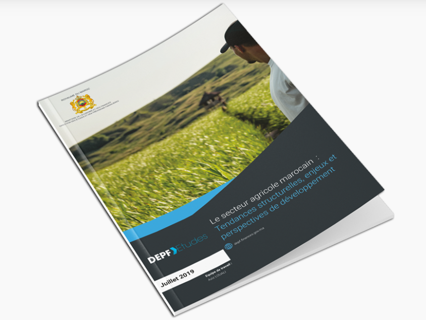 La DEPF publie une étude sur les enjeux et les perspectives de développement du secteur agricole marocain