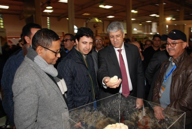 Le salon avicole de Casablanca est prévu le 26 Novembre 2019