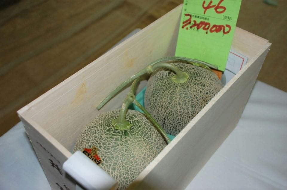 Deux melons vendus au prix d&rsquo;une voiture neuve au Japon