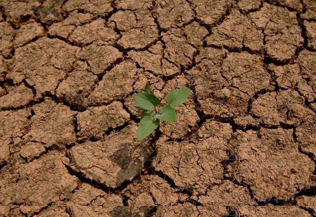 Sécheresse en France : les restrictions d’eau gagnent les bassins agricoles