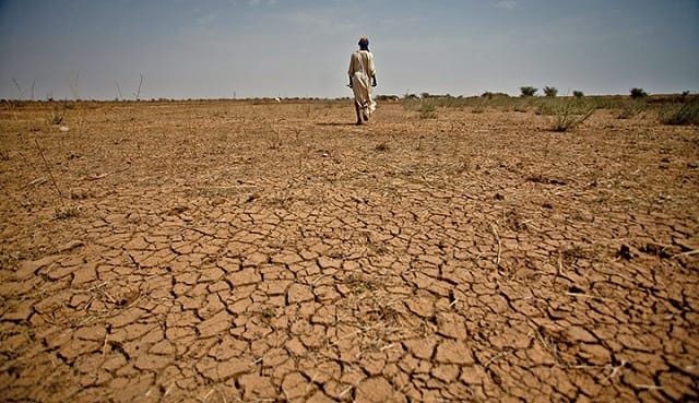 El Niño va impacter la sécurité alimentaire en Afrique