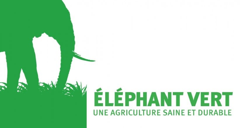 Télécharger les fiches techniques ÉLÉPHANT VERT