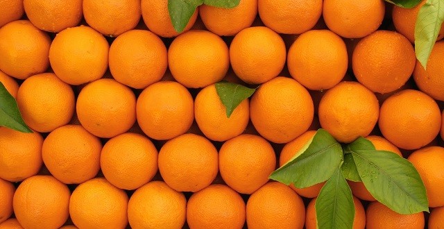 En Espagne le prix des oranges explose!