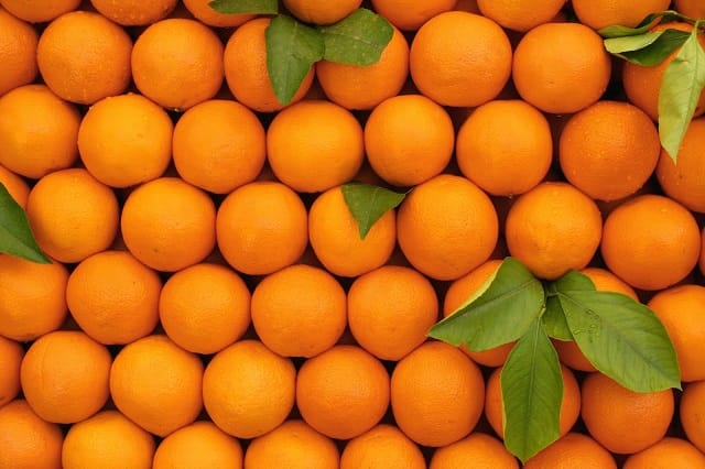 En Espagne le prix des oranges explose!