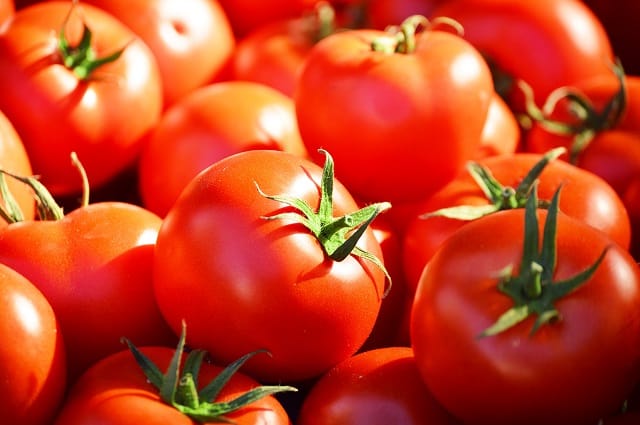 Le prix des tomates espagnoles en baisse de 124% en 15 ans