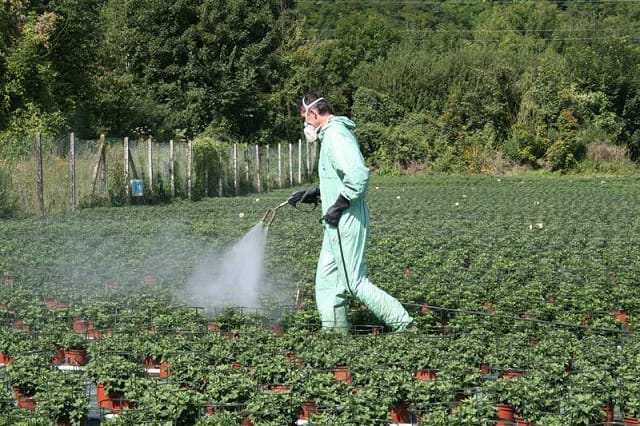 L’Espagne, premier marché de produits phytosanitaires