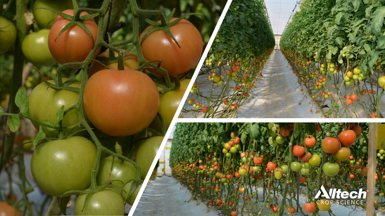 Alltech® : Produire autrement en agriculture