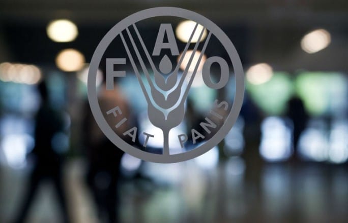 La FAO et l’ICARDA, en collaboration avec l’INRA et divers partenaires publics et privés, organisent les Journées de la Durabilité
