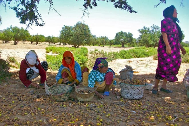 ONDH et FAO: Atelier de soutien de la petite agriculture