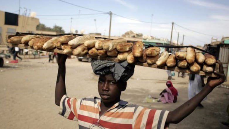 Un nouveau réseau lancé par la FAO, le PAM et l&rsquo;UE