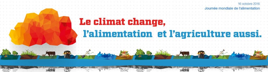 FAO: « Le climat change, l&rsquo;alimentation et l&rsquo;agriculture aussi »