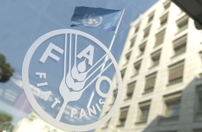 La FAO organise des formations et des ateliers régionaux au Maroc