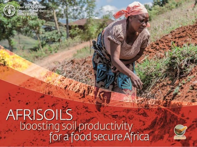 FAO: Le programme Afrisoils pour stimuler la productivité des sols africains