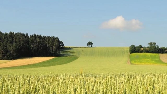 L’Agriculture durable tiendra son 1er forum à Mohammedia