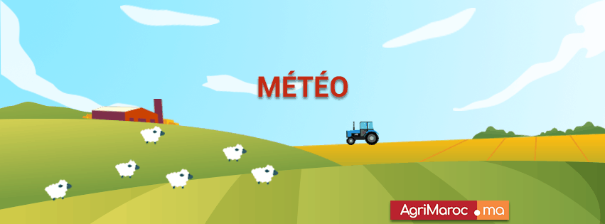 من المتوقع هطول الأمطار الأولى لشهر أكتوبر في أوائل الأسبوع المقبل
