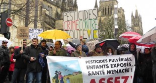 Bordeaux : «Marche blanche» contre les effets des pesticides