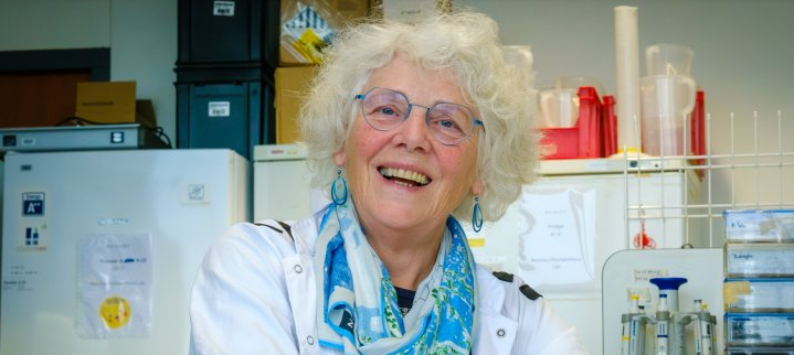 Mildiou de la pomme de terre : Une professeure de phytopathologie soutient de nouvelles approches