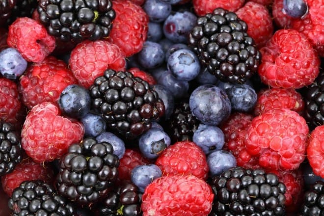Fruits rouges: Projar consolide sa position en s&rsquo;implantant au Maroc