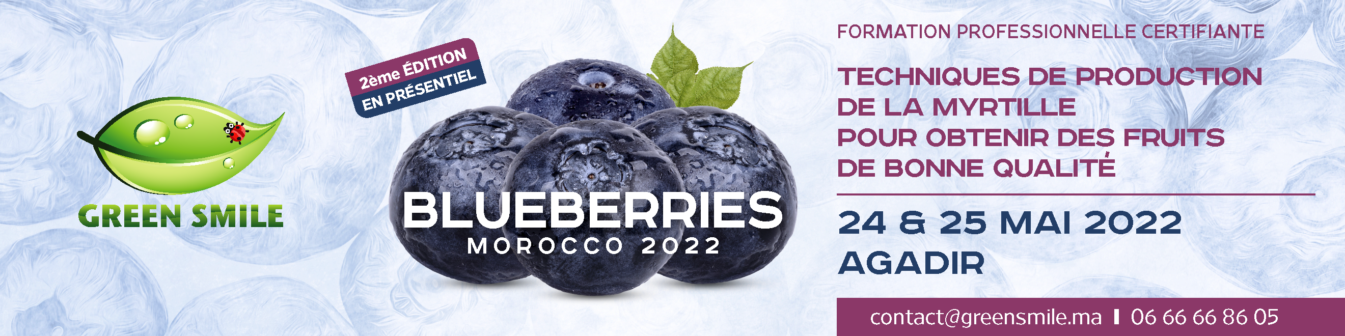 3 questions à Siham Zahidi : Blueberries Morocco 2022