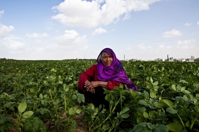 Gaza: l&rsquo;agriculture un moyen de renforcer une économie brisée?
