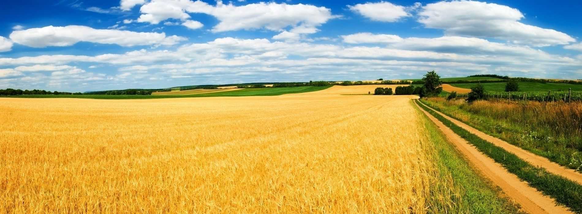 Lancement de la station agricole d&rsquo;irrigation automatisée I-TERRA