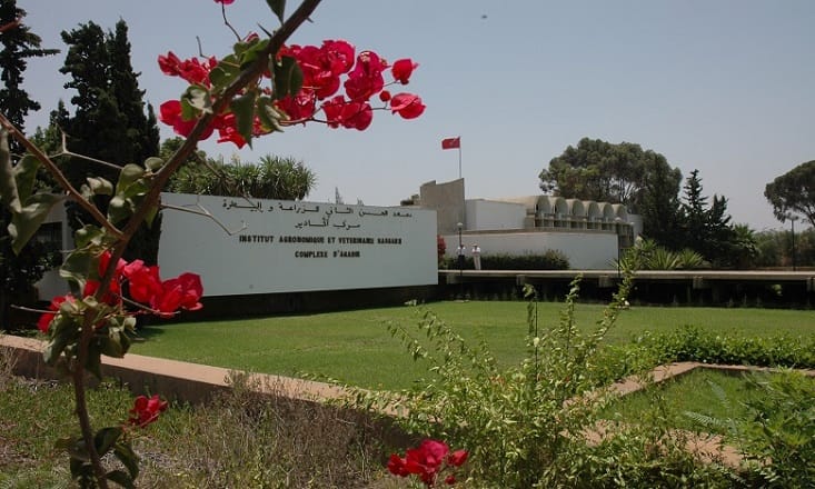 Agadir: Journée d’information sur Tuta Absoluta