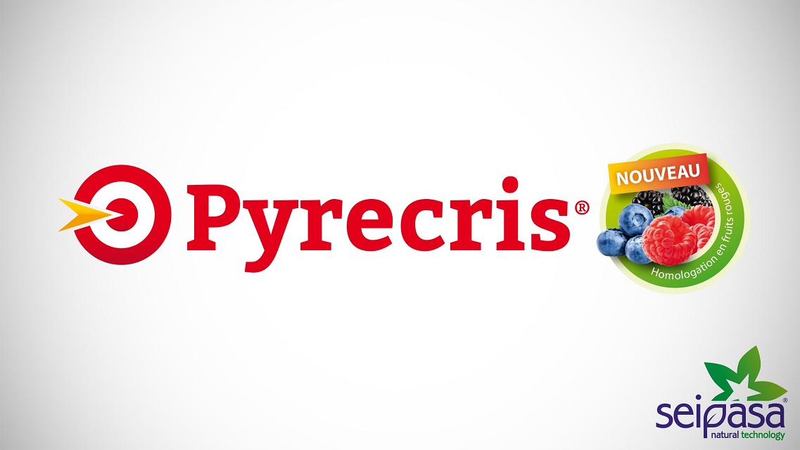 Seipasa obtient l&rsquo;extension du label Pyrecris au Maroc (culture de baies)