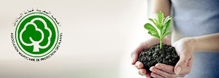 L’Index Phytosanitaire-Maroc 2016 est disponible!