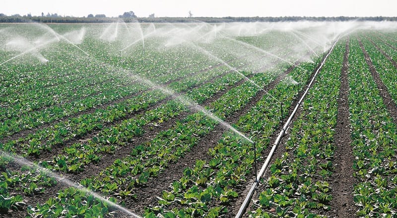 Lumière sur le PNEEI, ce programme qui fait économiser d’énormes quantités d’eau