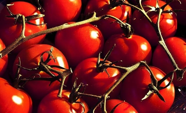 Mercosur : pourquoi les agriculteurs européens ont les yeux tournés vers l’Italie