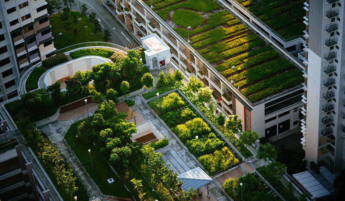 Agriculture urbaine : le dispositif est lancé à Tiznit