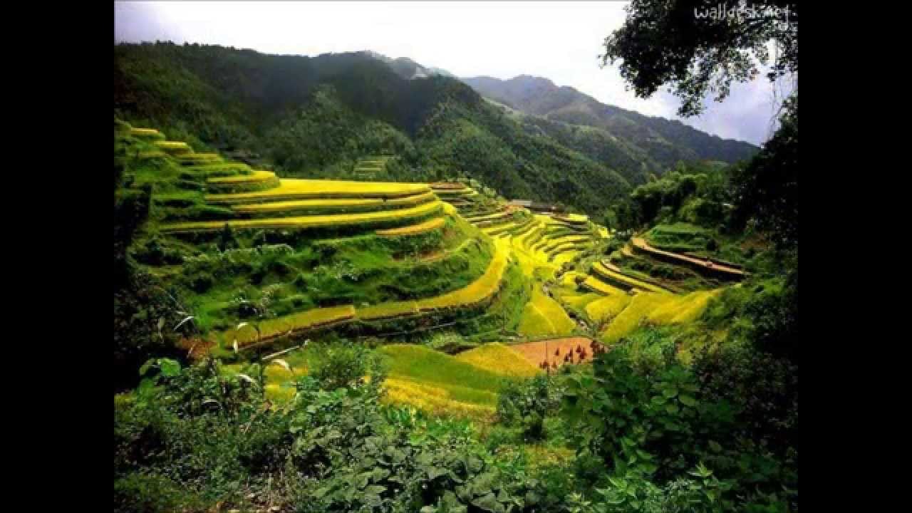 La Chine cet importateur agricole qui monte