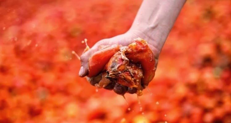 Espagne: 145 000 kilos de tomates pour la Tomatina de cette année