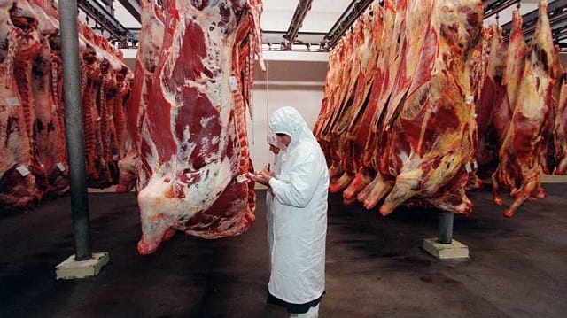 La protection animale dans les abattoirs en France?