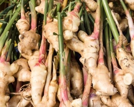 Le gingembre sud-africain rivalise avec les importations chinoises