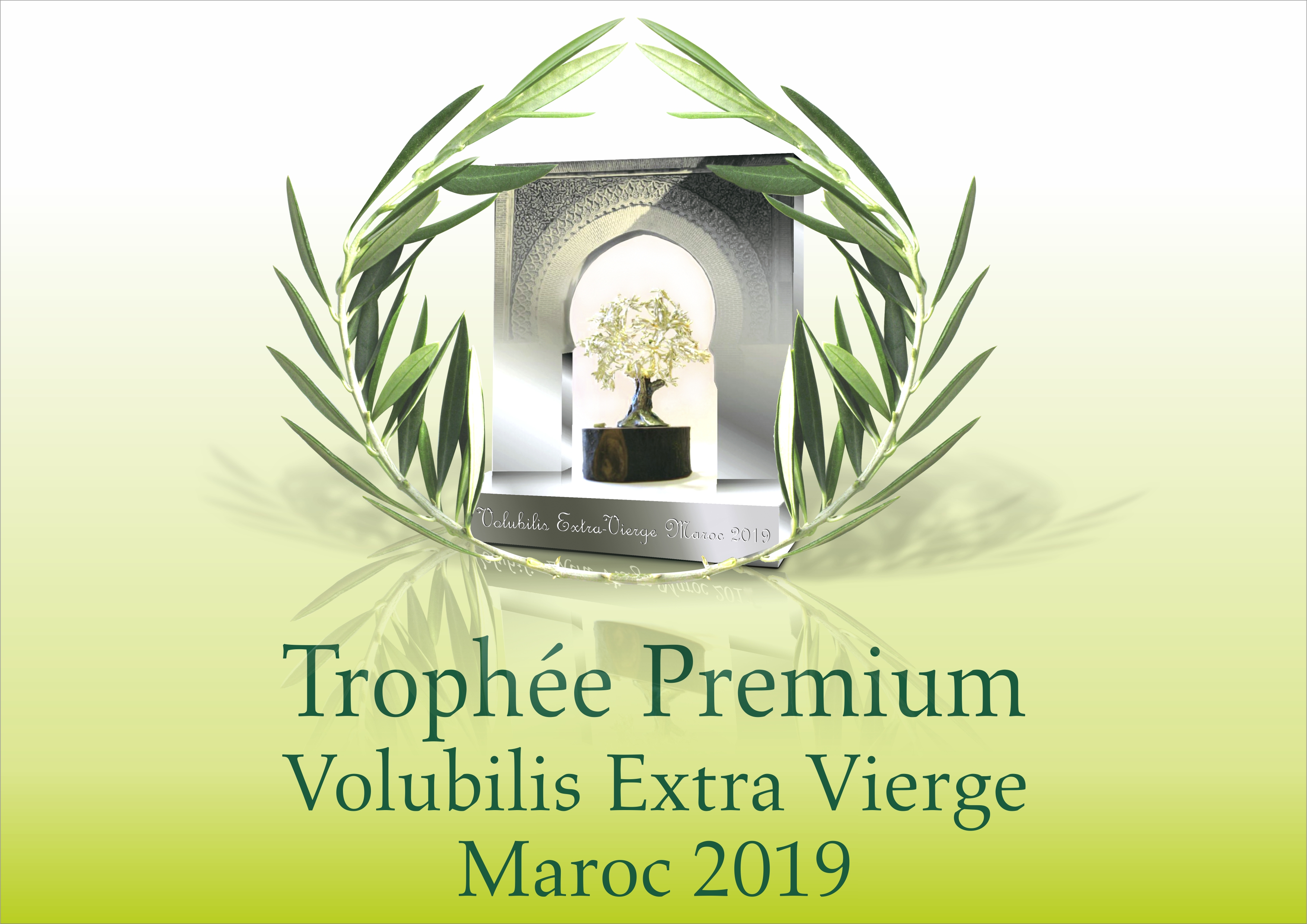 Trophée Premium « Volubilis Extra-Vierge Maroc 2019 »