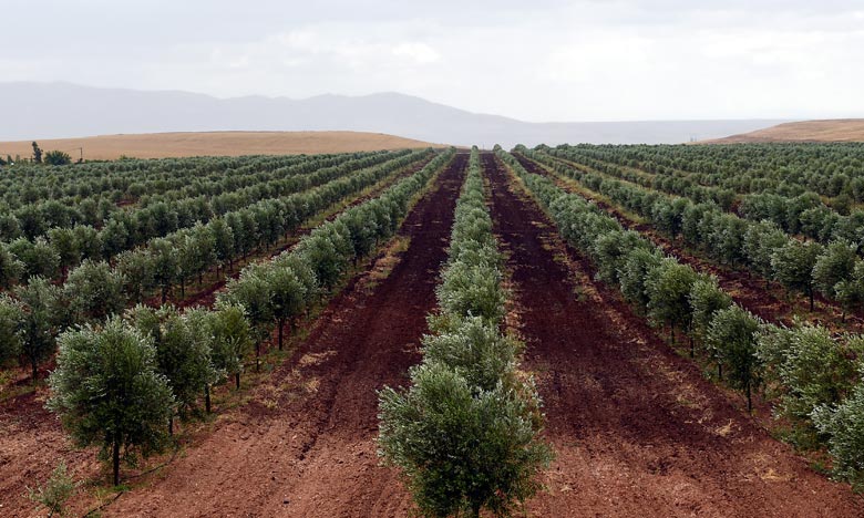 Agadir: La FAO et le Maroc organisent un atelier en Mai
