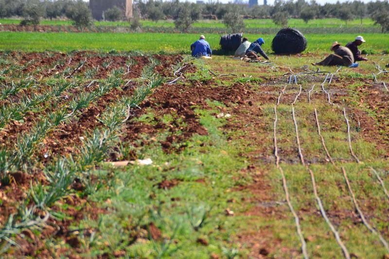 Association A.S.MA: L&rsquo;accès à l&rsquo;eau un besoin majeur