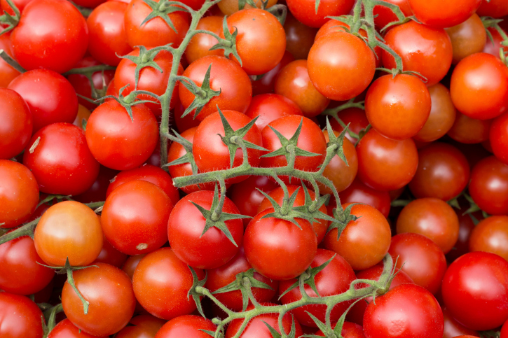 Les producteurs espagnols de tomates accusent le Maroc