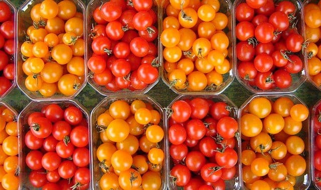 Les exportations marocaines de fruits et légumes vers l’UE en hausse de 15%