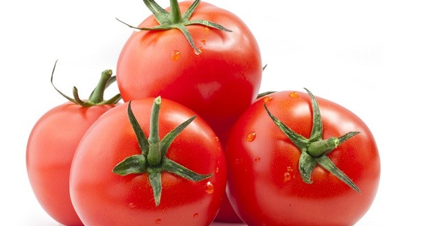 Les exportations marocaines ont fait chuter les prix des tomates espagnoles jusqu'à 38 % par rapport à 2018