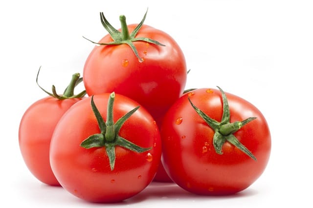 Les tomates marocaines rivalisent avec celles espagnoles aux Pays-Bas