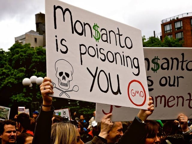 Monsanto fait ses adieux aux OGM ?